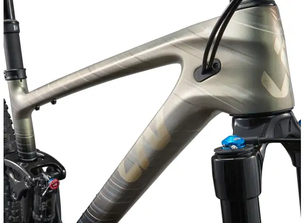 Liv Pique Advanced 29 2 mountain bike Golden Haze