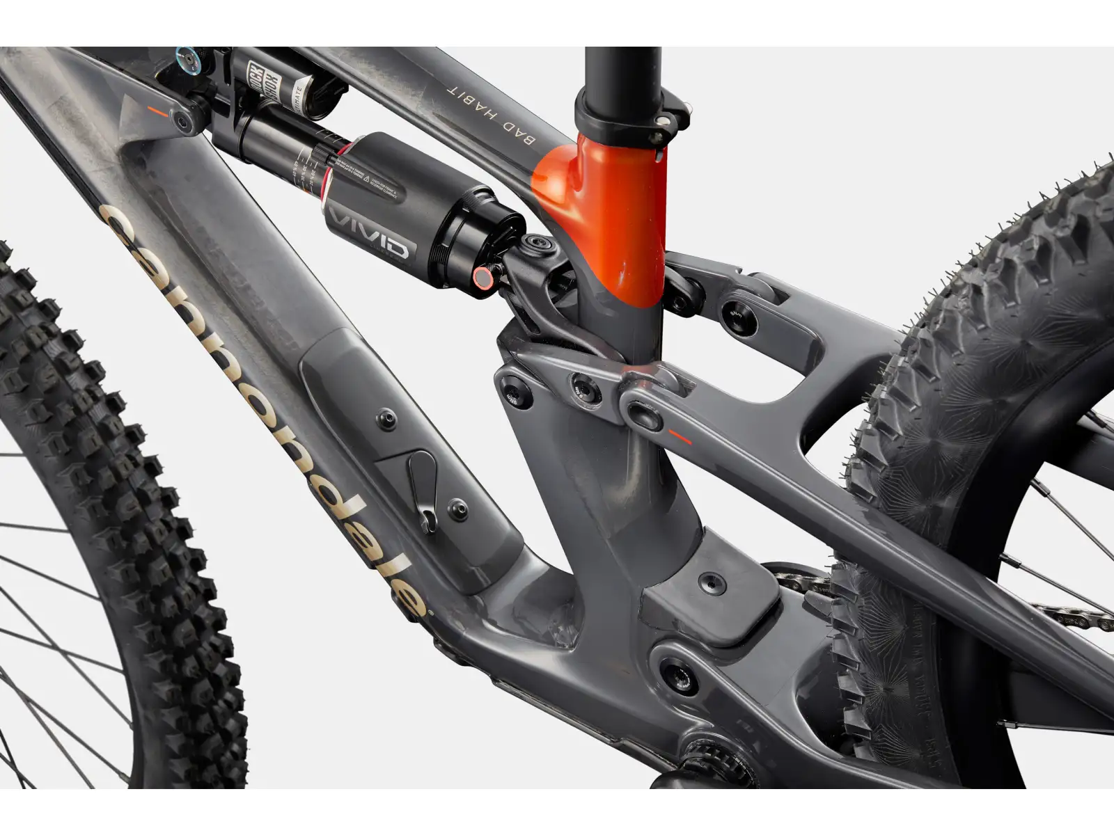 Cannondale Bad Habit 1 mountain bike RAW Carbon
