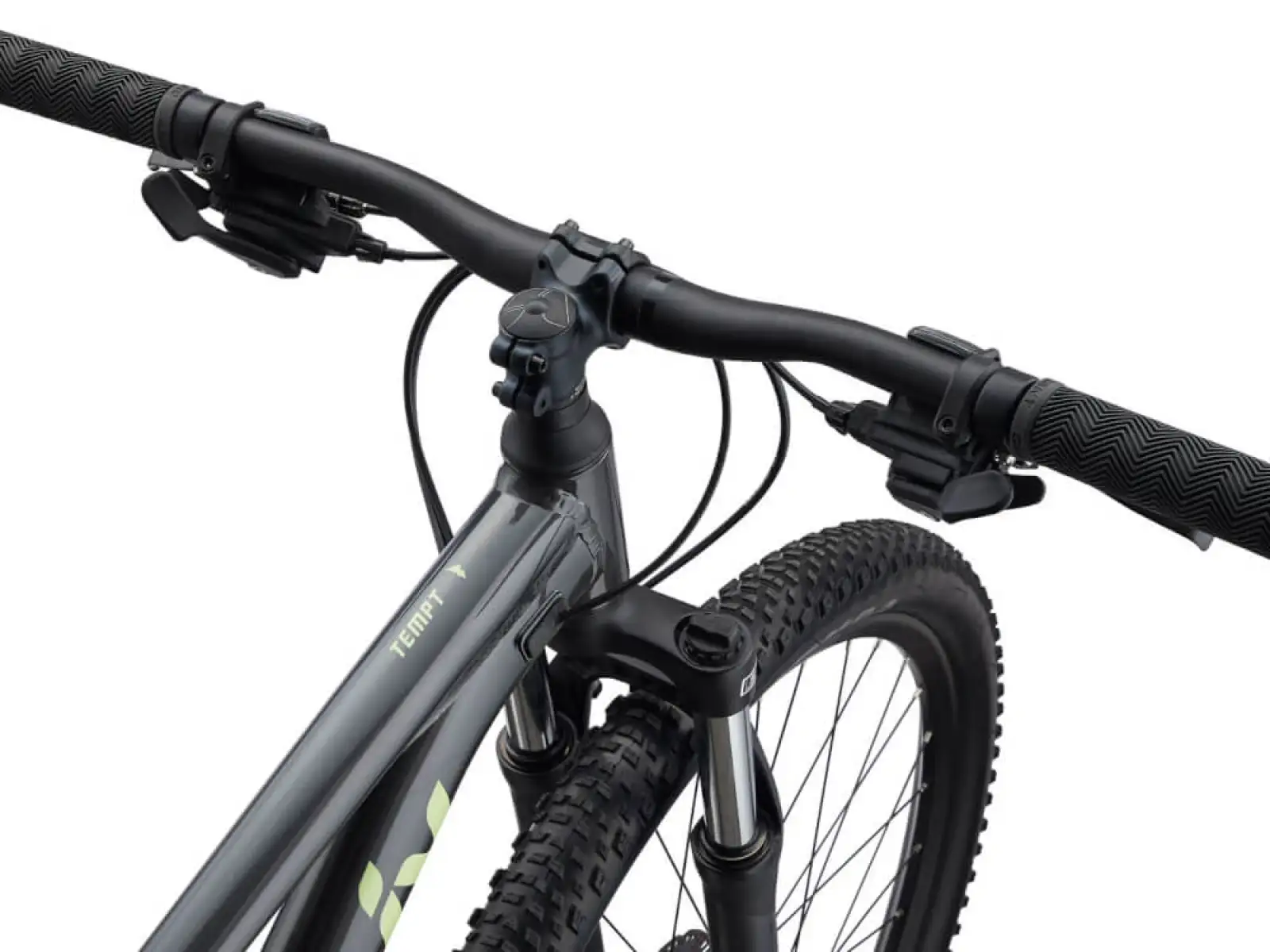 Liv Tempt 4 mountain bike Black Chrome