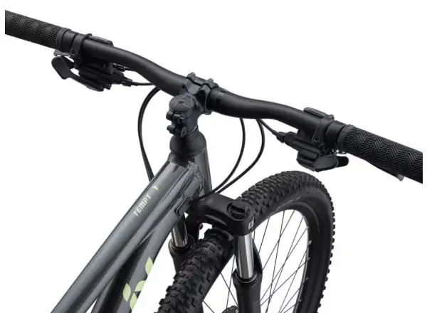 Liv Tempt 4 mountain bike Black Chrome