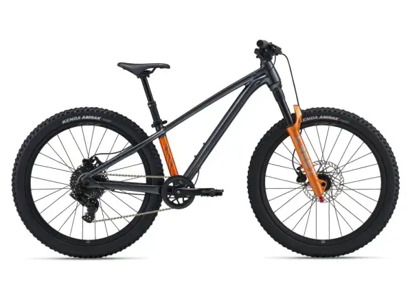 Giant STP 24 children's mountain bike Black Chrome