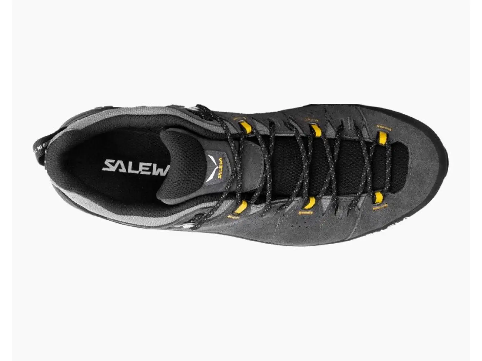 Salewa Alp Trainer 2 GTX men's shoes Onyx Black