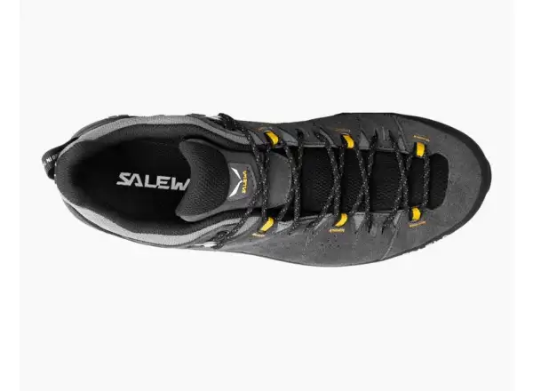 Salewa Alp Trainer 2 GTX men's shoes Onyx Black