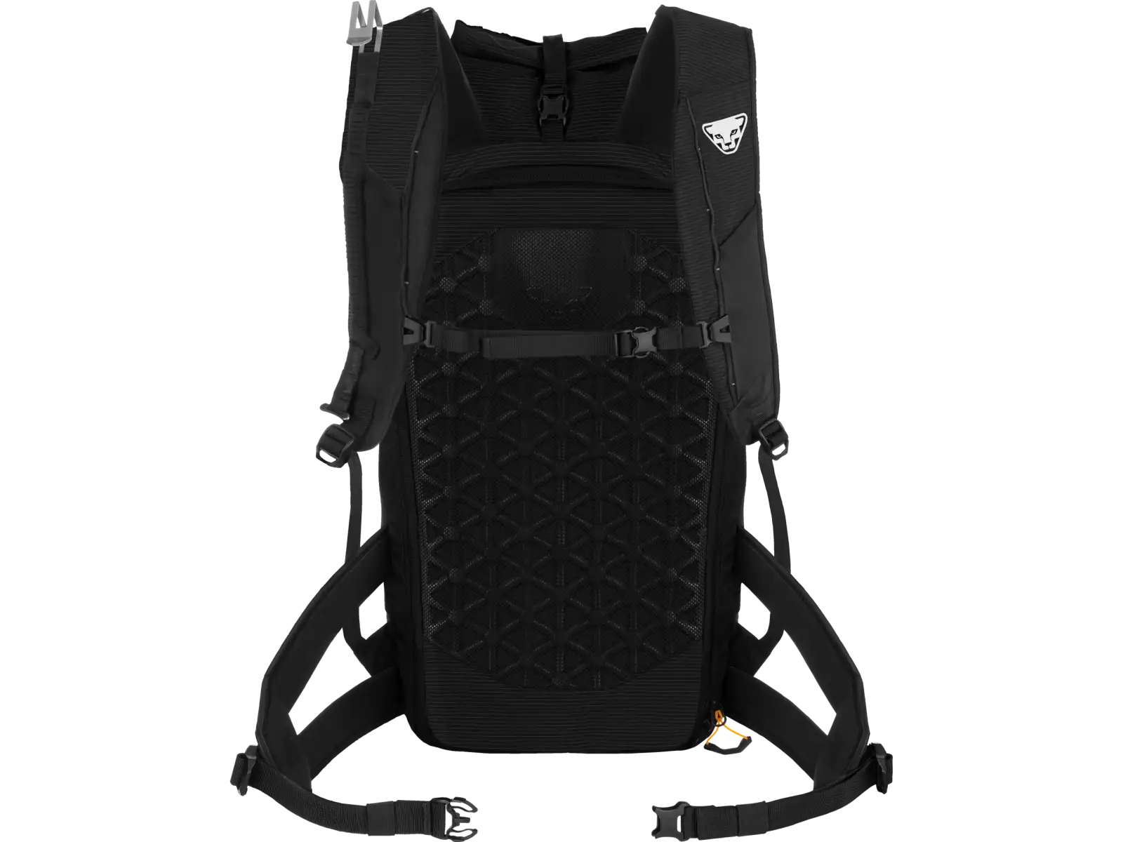 Dynafit Radical 30+ backpack 30 l Black Out