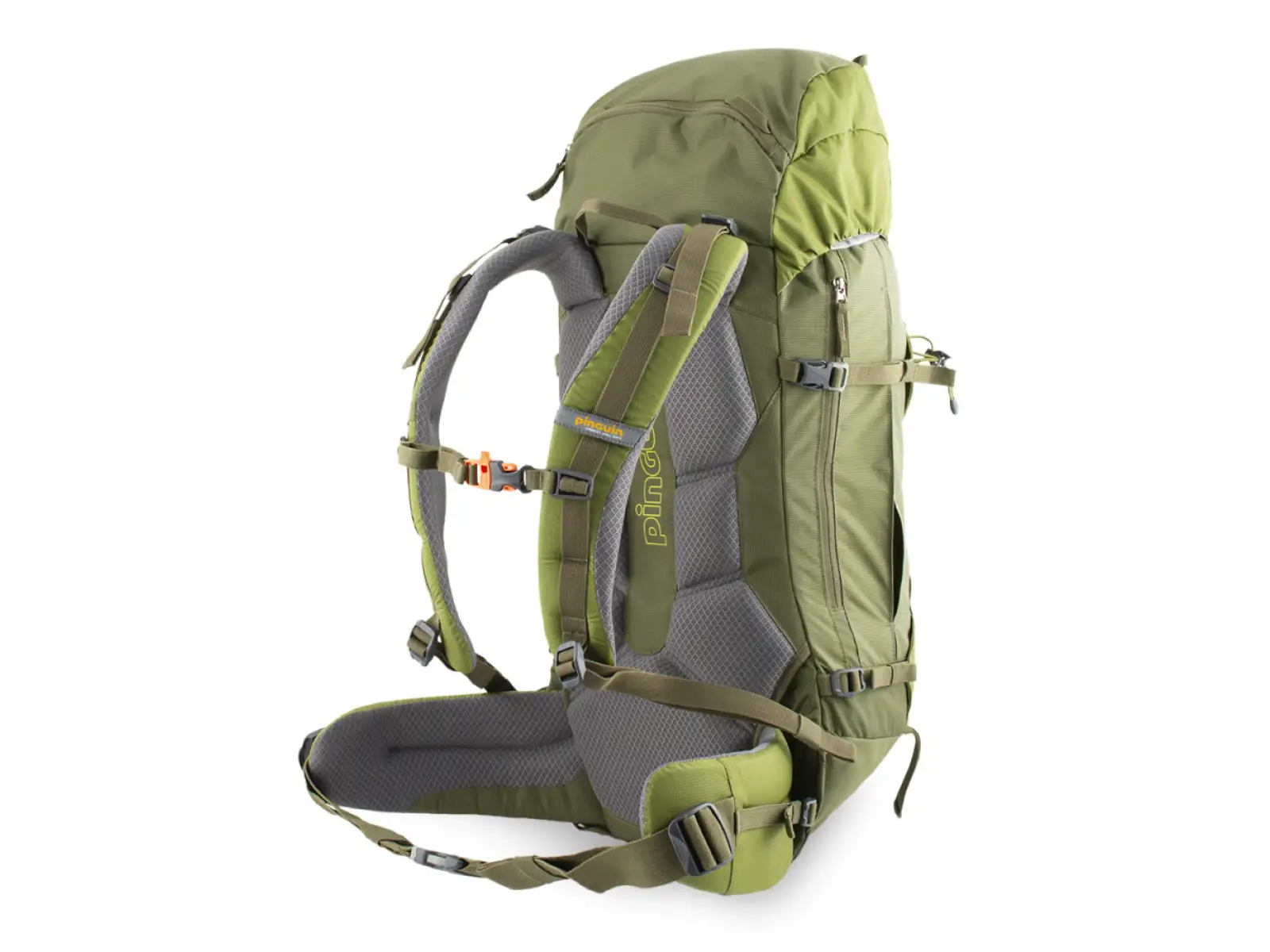 Pinguin Boulder 38 backpack green