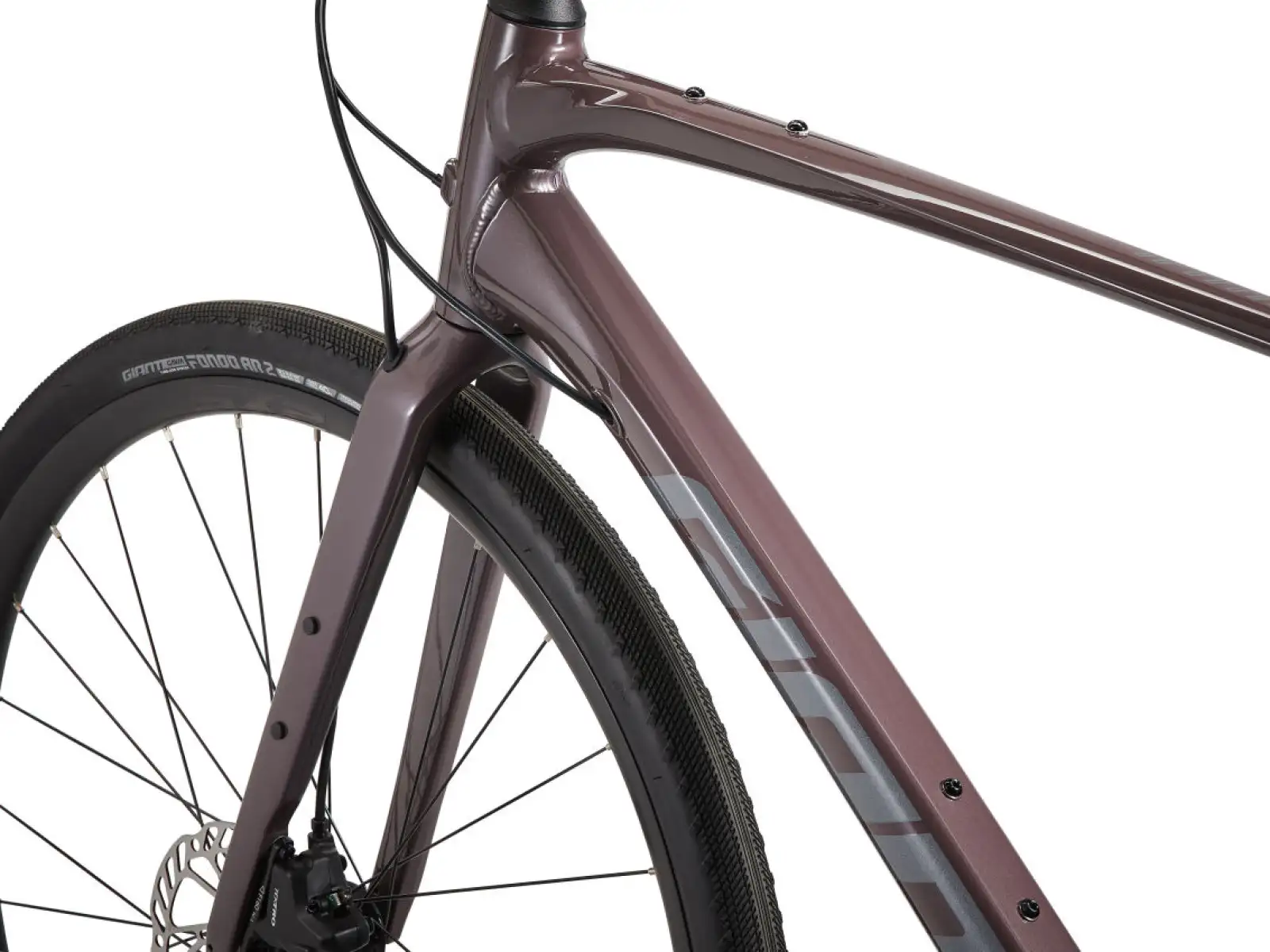 Giant FastRoad AR 3 fitness bike charcoal plum