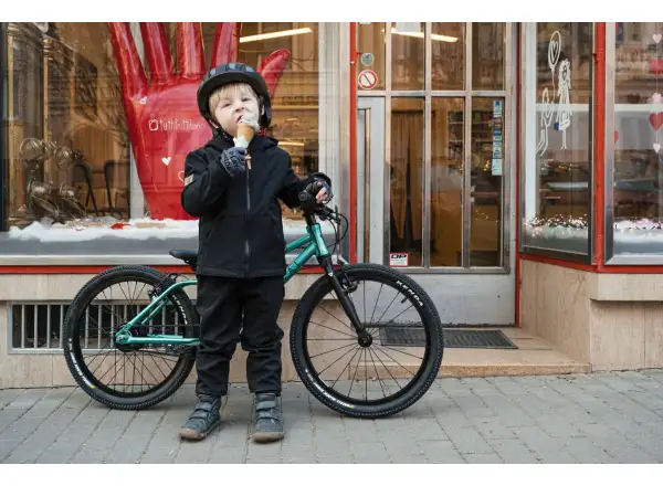 Rascal 20 Limited kids bike Emerald