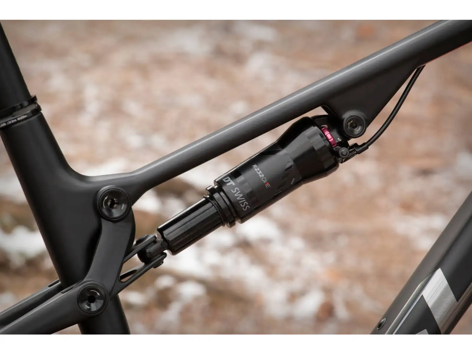 Superior Team XF 29 Issue mountain bike Gloss Carbon/Chrome