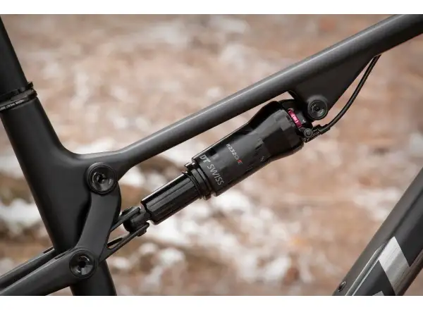 Superior Team XF 29 Issue mountain bike Gloss Carbon/Chrome