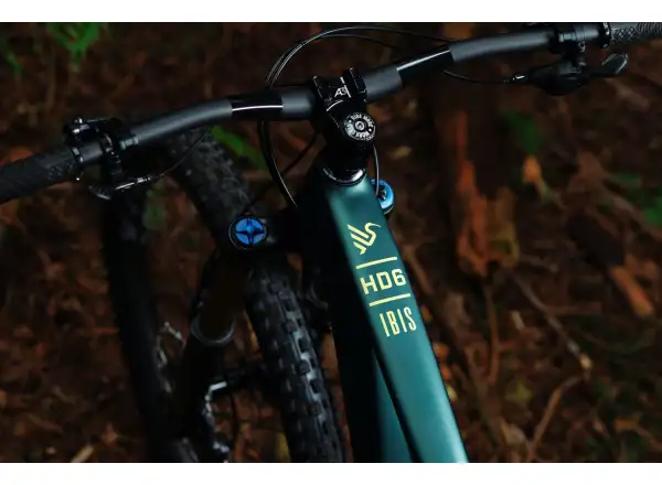 Ibis HD6 GX T-type AXS mountain bike green
