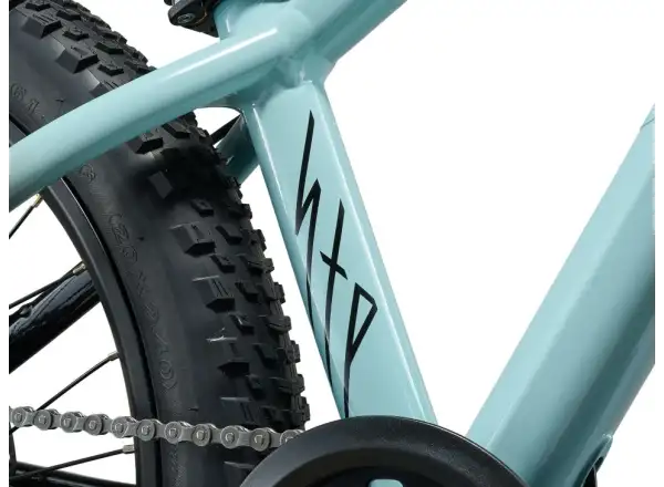 Liv STP 20 kids mountain bike Soap Suds