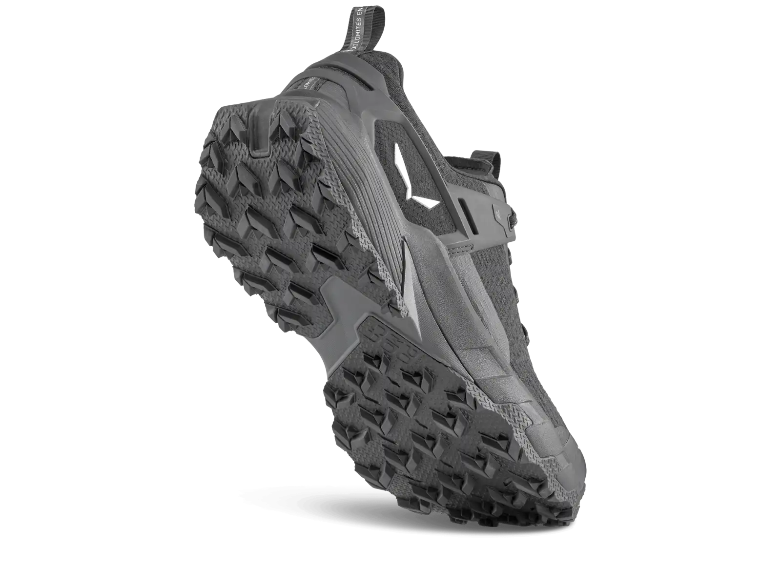 Salewa Pedroc 2 men's shoes Black/Black