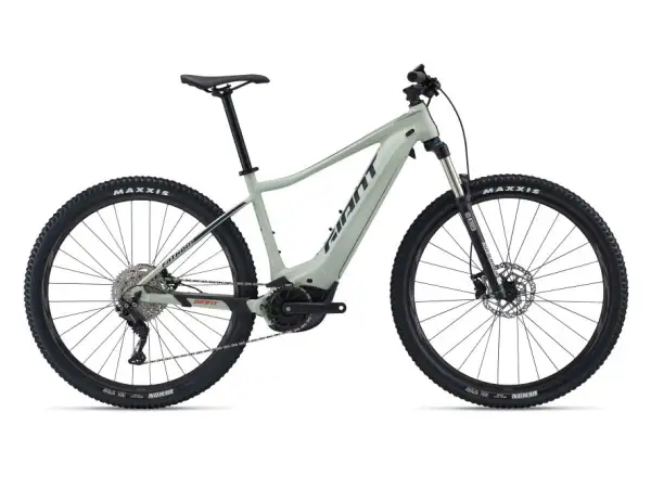 Giant Fathom E+ 2 29 men's mountain e-bike desert sage