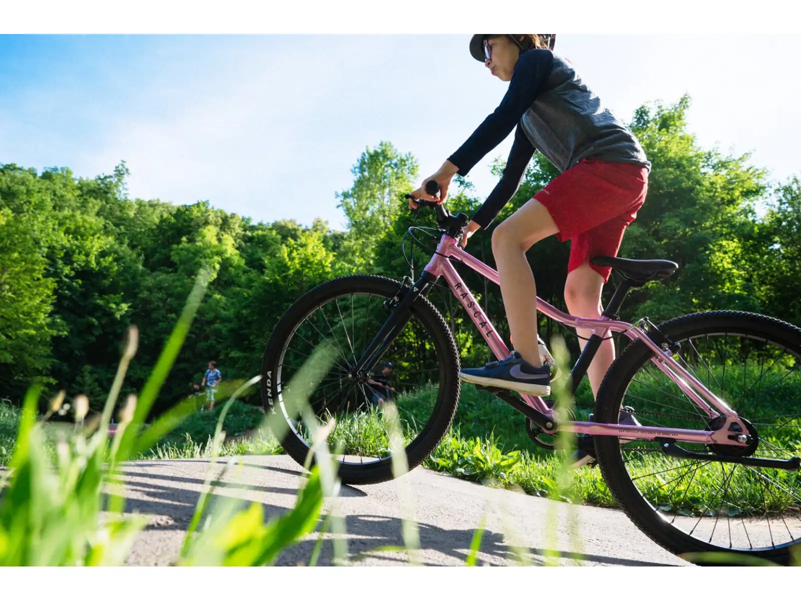 Rascal 24 7 sp. Shimano Nexus kids bike Titanium
