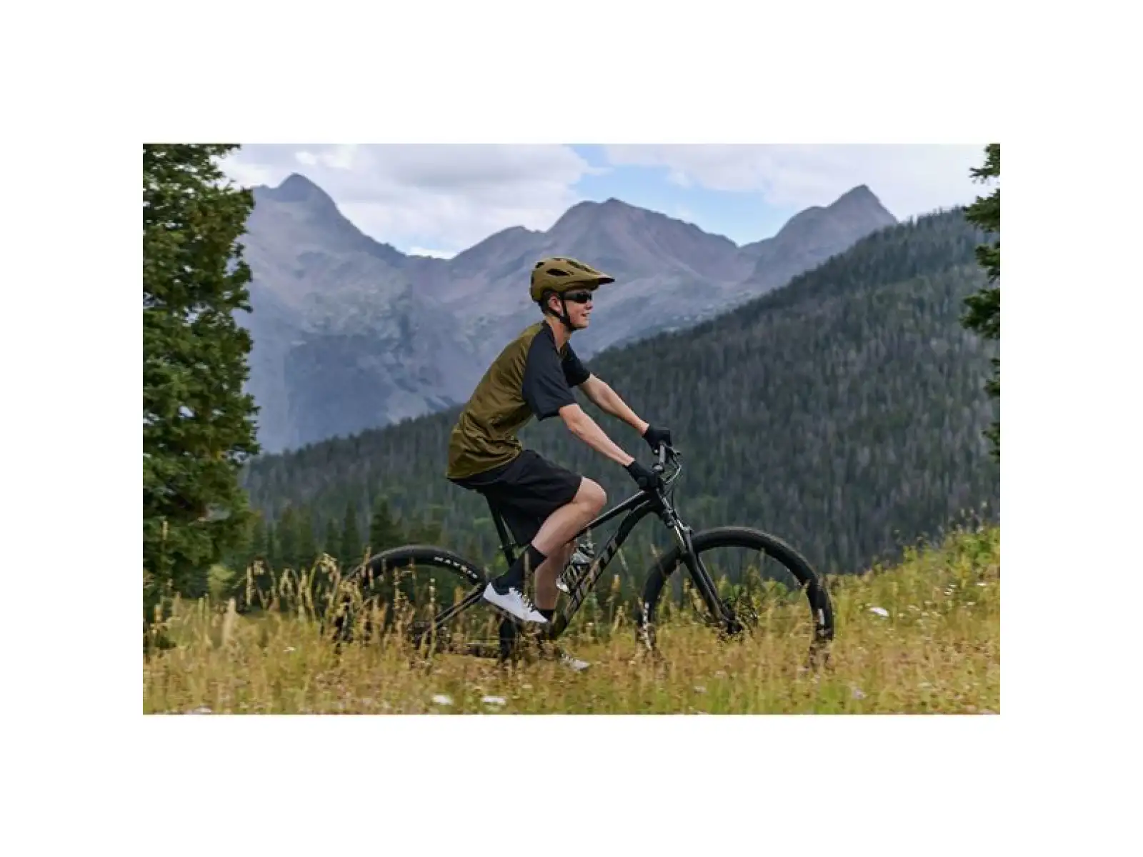 Giant Talon 29 3 mountain bike Frost Silver