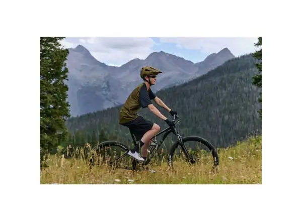Giant Talon 29 3 mountain bike Frost Silver