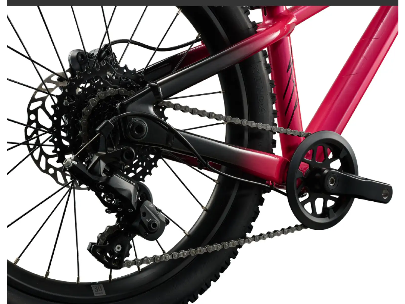 Liv STP 20 kids mountain bike Hot Pink