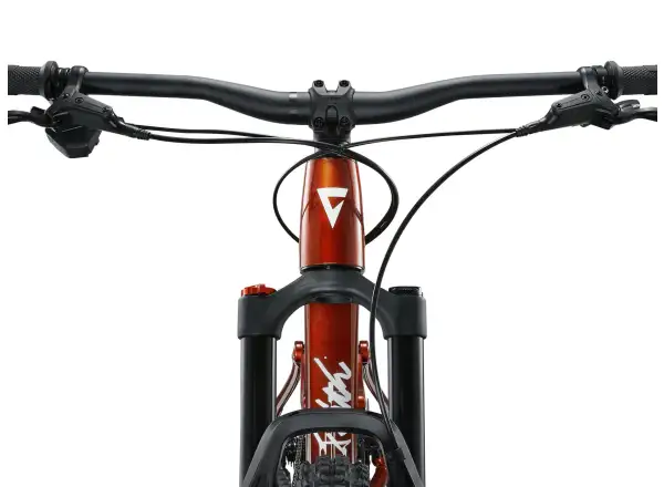 Giant Faith 27.5"/26" children's full suspension bike Copper