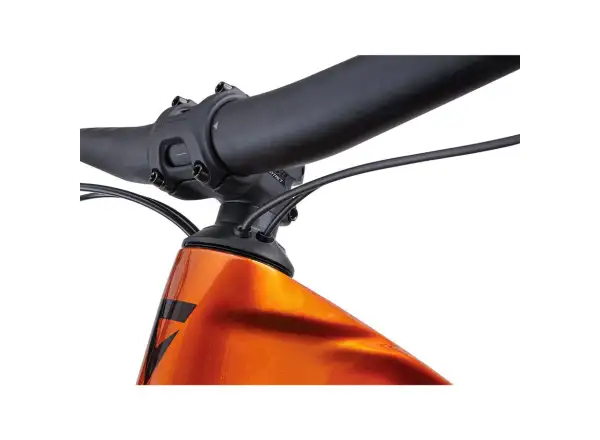 Giant Trance X Advanced E+ EL 2 mountain e-bike Amber Glow / Cordovan