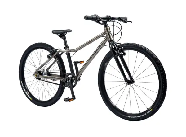 Rascal 24 3 sp. Shimano Nexus children's bike Titan