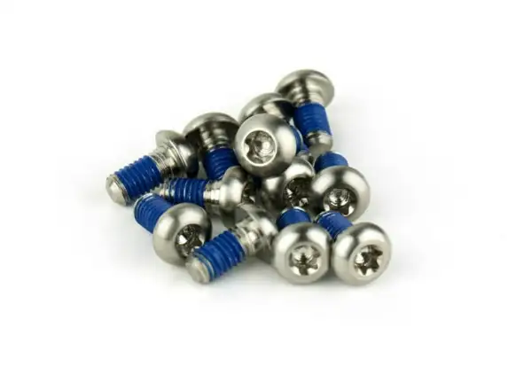 Sram Rotor Bolt Kit – Titanium T25, 12 pcs