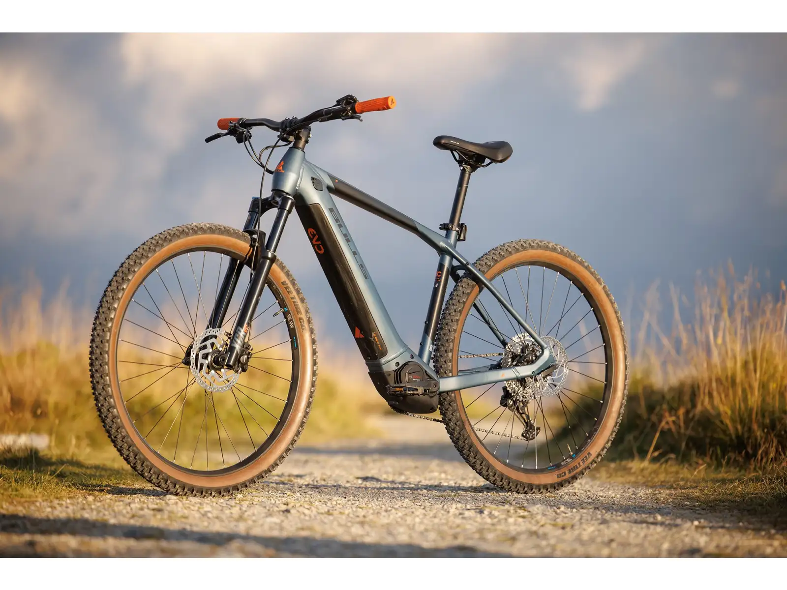 Bulls Copperhead EVO 2 29 Pro Blue Matt mountain e-bike