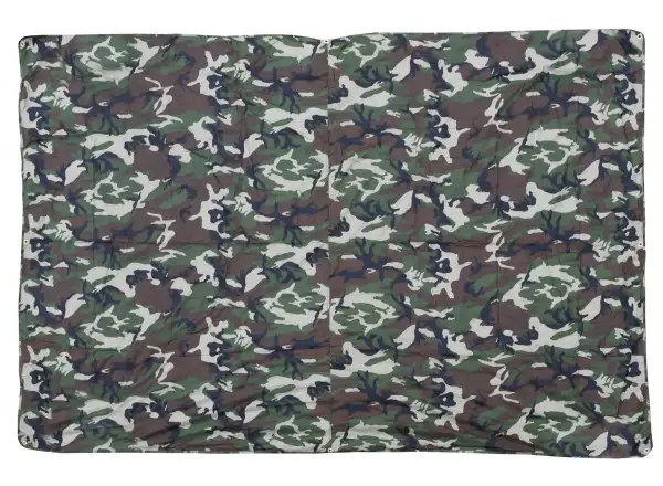Cattara tarpaulin 2x3 m