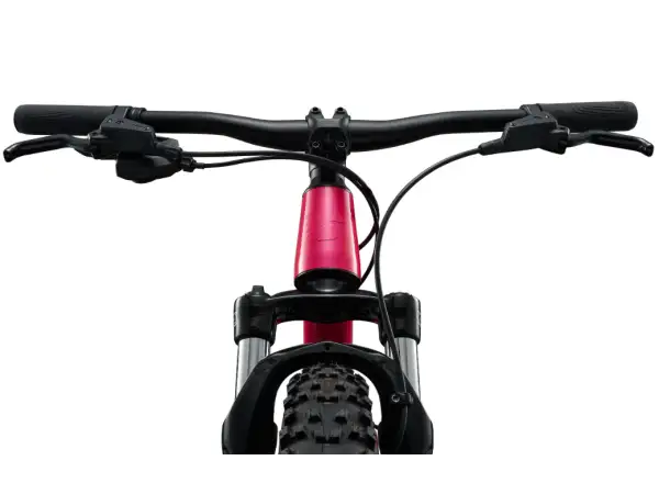 Liv STP 20 kids mountain bike Hot Pink