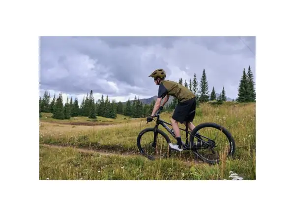 Giant Talon 29 3 mountain bike Frost Silver