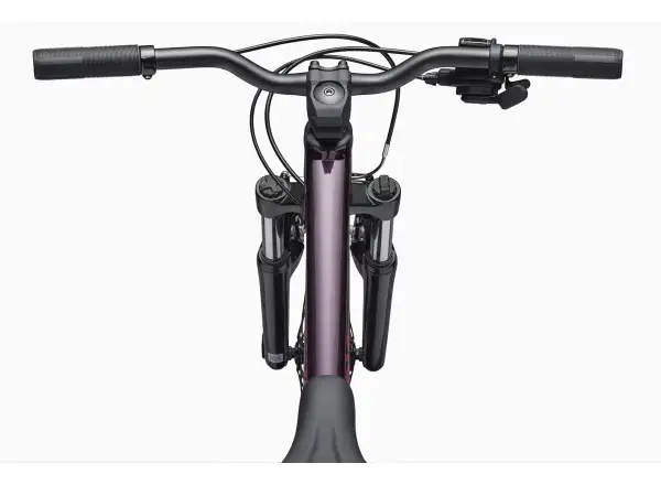 Cannondale Trail 24 kids bike Royal Purple