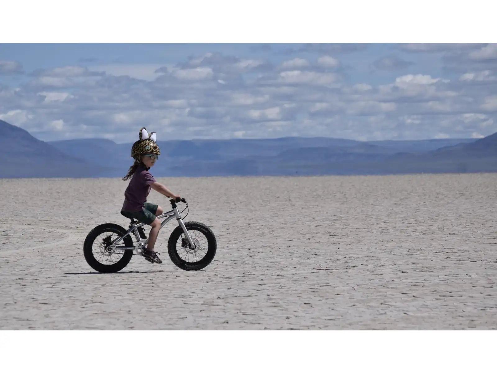 Early Rider Seeker X16 children's bike Brushed Aluminium