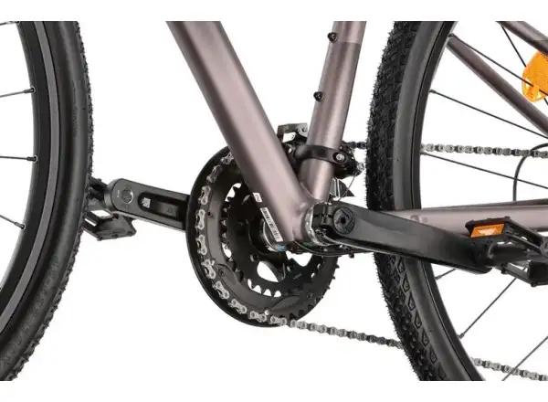 Liv Rove 1 DD women's trekking bike Dark Eclipse