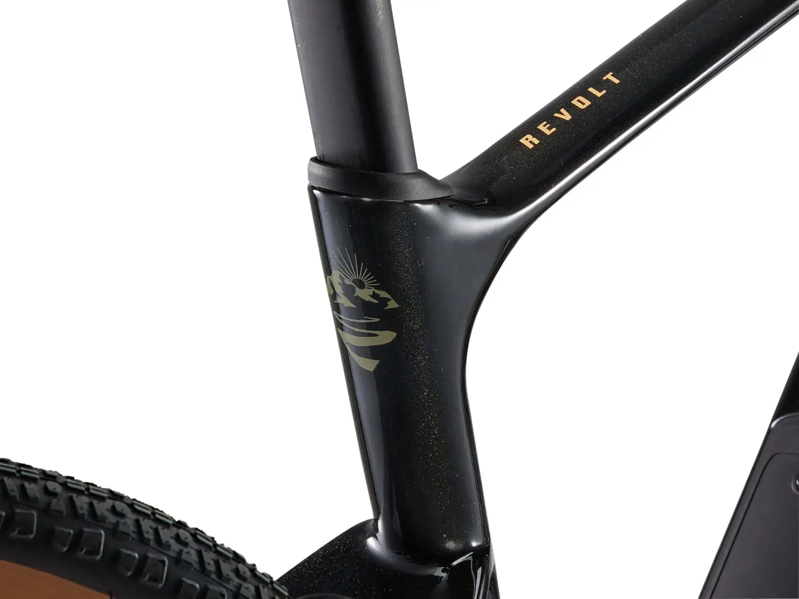 Giant Revolt Advanced 3 gravel bike Panther
