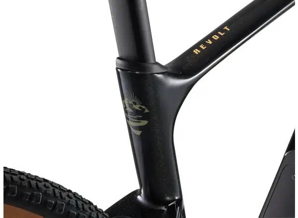 Giant Revolt Advanced 3 gravel bike Panther