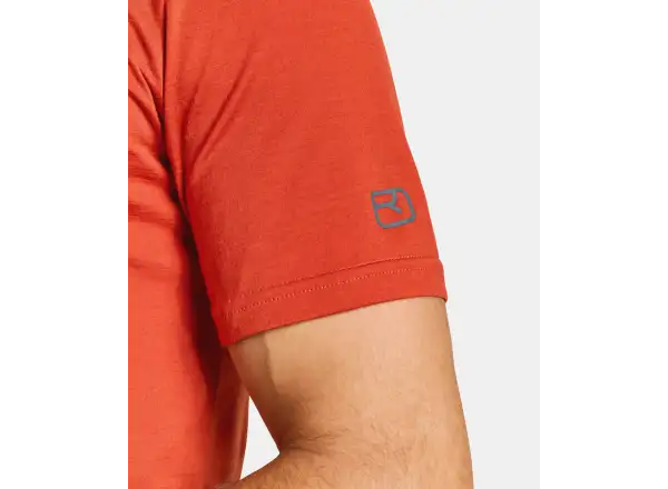 Ortovox 150 Cool Mtn Protector men's T-shirt short sleeve Petrol Blue L