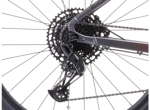 Crussis e-Cross 9.11 715Wh cross e-bike