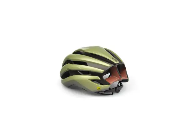 Met Trenta MIPS helmet Wander Herbal