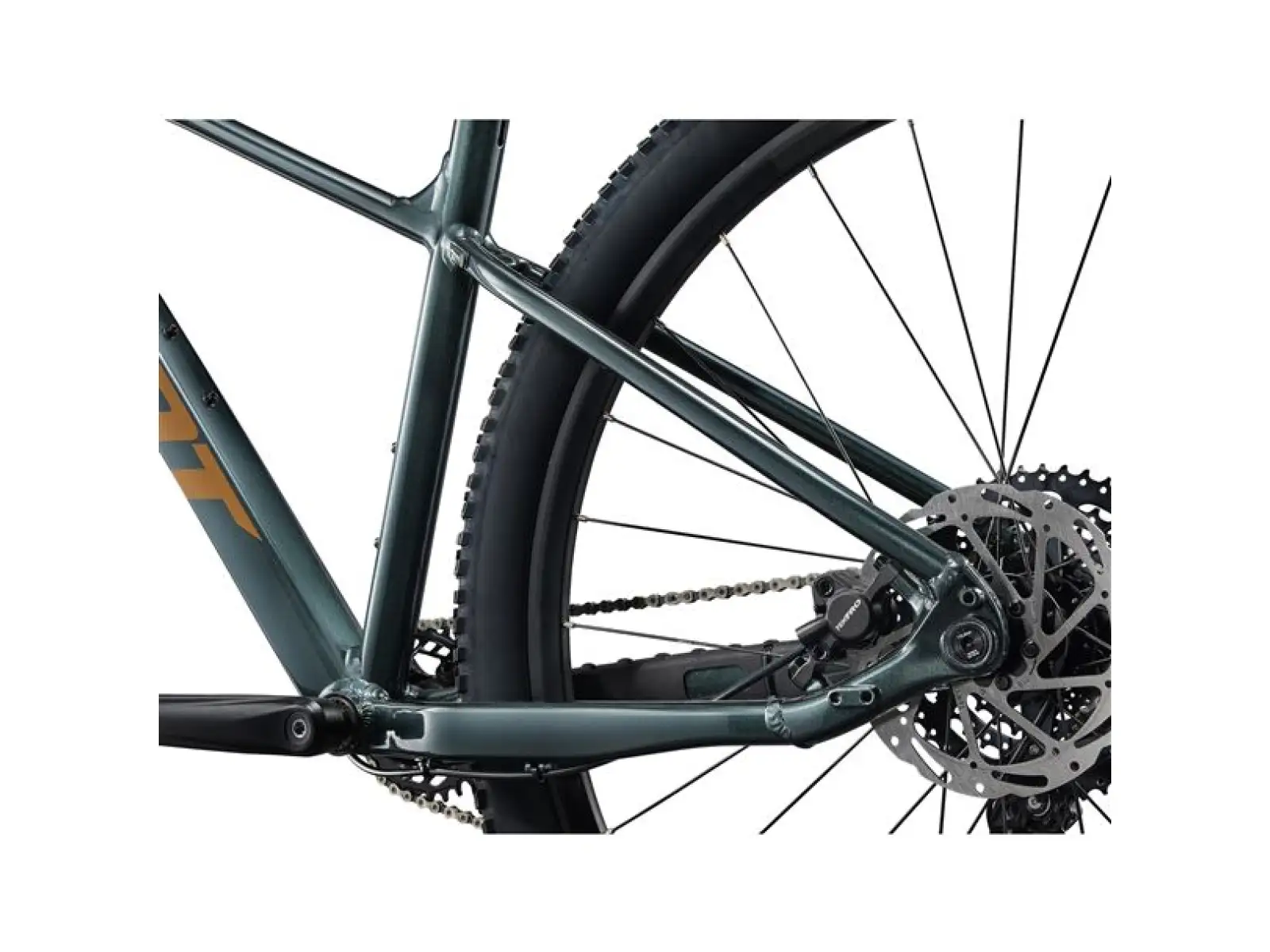 Giant Talon 29 2 mountain bike Asphalt Green