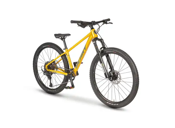 Beany Blaster 26 kids bike Gold