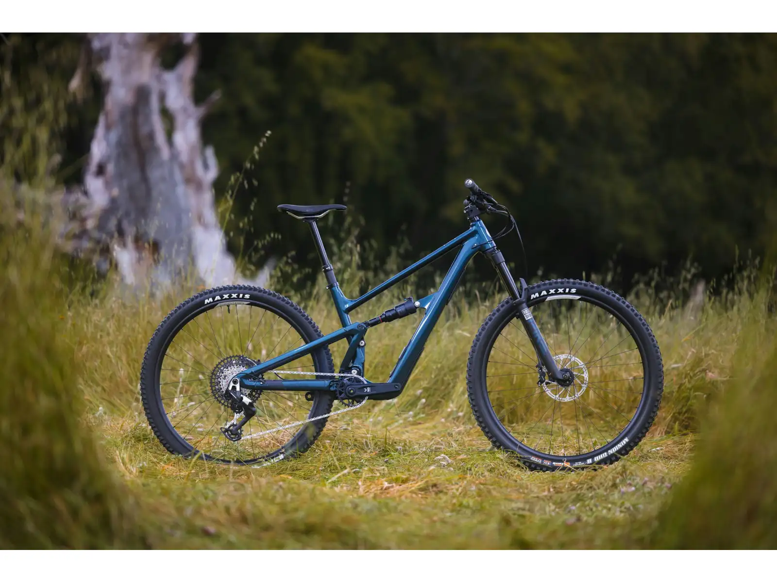 Ibis Ripley AF V2 Eagle 90 mountain bike Blue