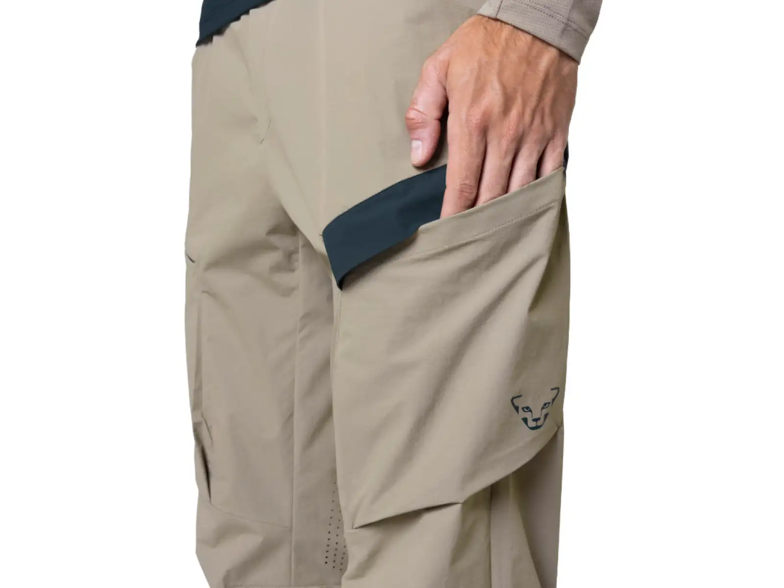 Dynafit Transalper Cargo Pants men's pants Fallen Rock