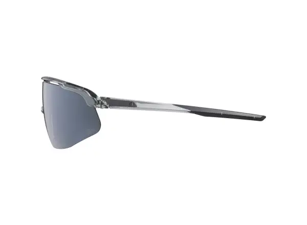 Alpina Turbo PRO Q-lite glasses Grey Transparent Gloss