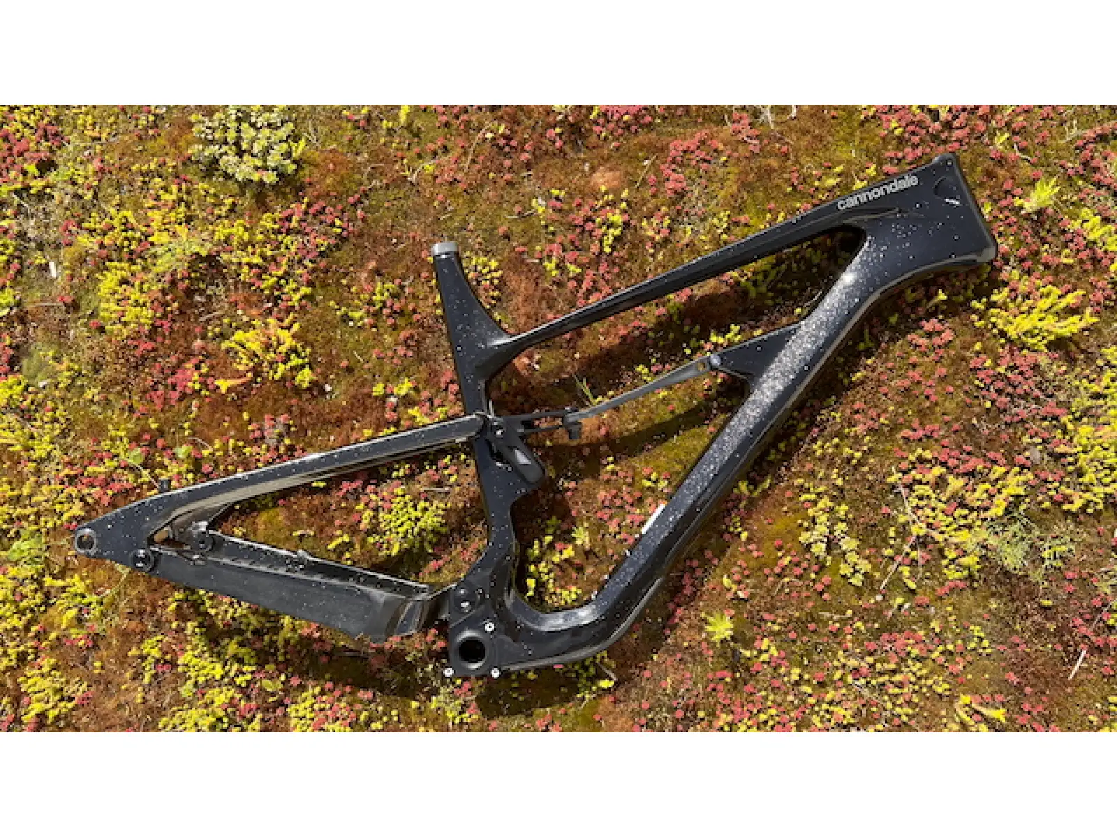 Cannondale Habit Carbon 29" MTB frame GDT