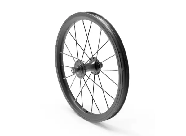 Early Rider front wheel build 16" Front Wheel, Black, 100mm OLD, F/V Valve