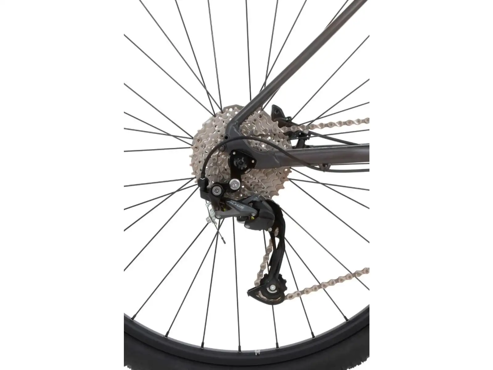 Rock Machine Catherine 20-29 matte anthracite grey/mint green/grey mountain bike