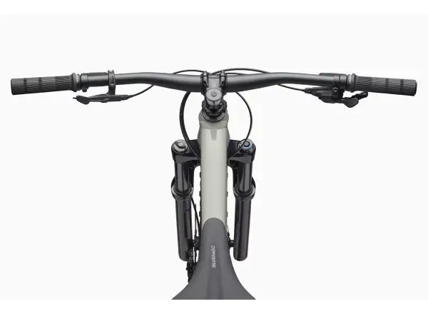 Cannondale Habit HT 1 mountain bike Tiger Shark