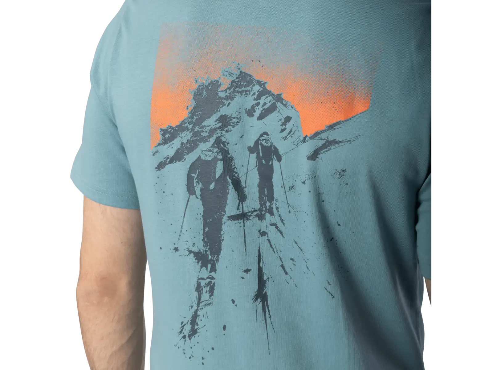 Dynafit Back Graphic Cotton men's T-shirt short sleeve Smoke Blue/Approach