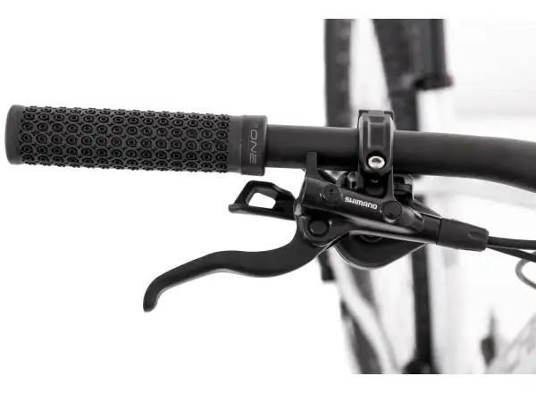 Rock Machine Torrent 50 29 mountain bike silver/grey