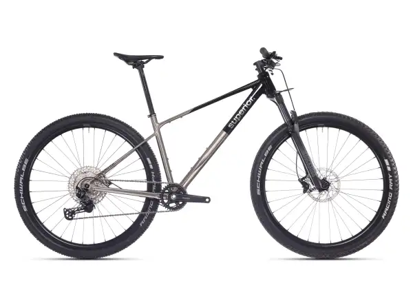 Superior XP 6.2 mountain bike Gloss Brush Alu/Black
