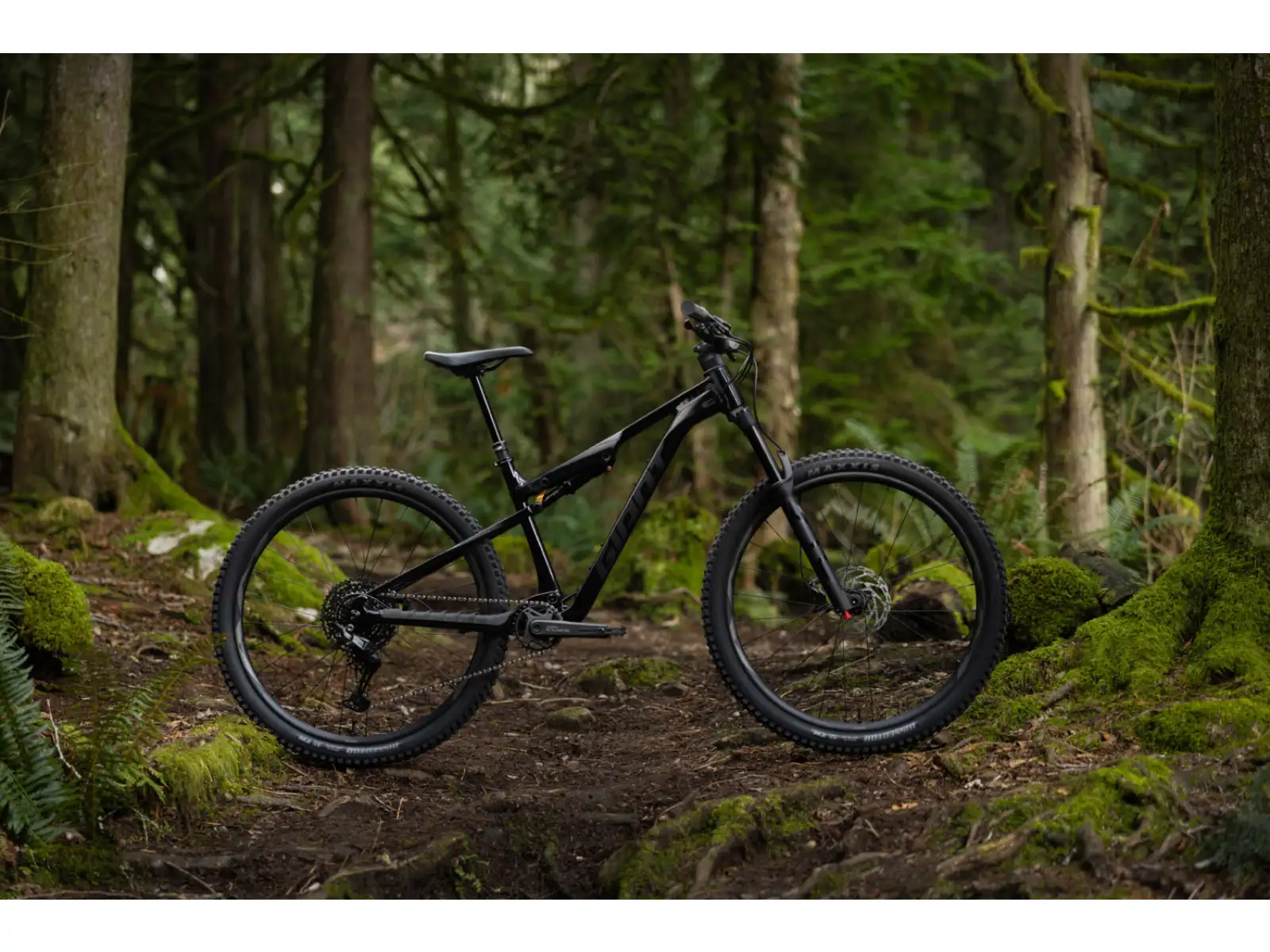 Giant Stance 2026 mountain bike Black